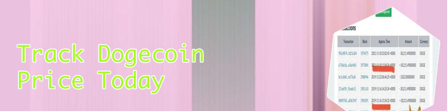Dogecoin price tracker